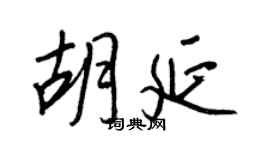 王正良胡延行书个性签名怎么写