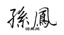 王正良孙凤行书个性签名怎么写