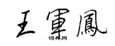 王正良王军凤行书个性签名怎么写