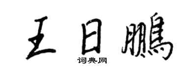 王正良王日鹏行书个性签名怎么写