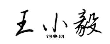 王正良王小毅行书个性签名怎么写