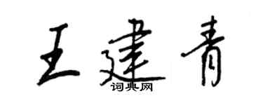 王正良王建青行书个性签名怎么写