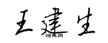 王正良王建生行书个性签名怎么写