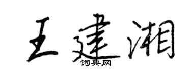 王正良王建湘行书个性签名怎么写