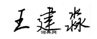 王正良王建淼行书个性签名怎么写