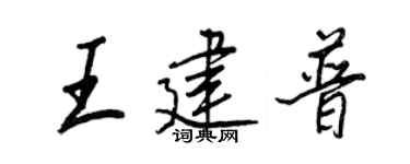 王正良王建普行书个性签名怎么写