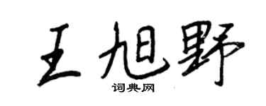 王正良王旭野行书个性签名怎么写