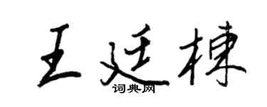 王正良王廷栋行书个性签名怎么写