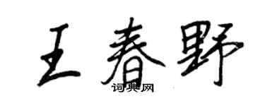 王正良王春野行书个性签名怎么写