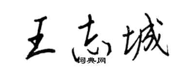 王正良王志城行书个性签名怎么写