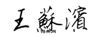 王正良王苏滨行书个性签名怎么写