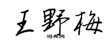 王正良王野梅行书个性签名怎么写