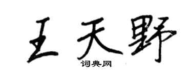 王正良王天野行书个性签名怎么写