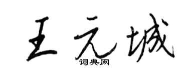 王正良王元城行书个性签名怎么写