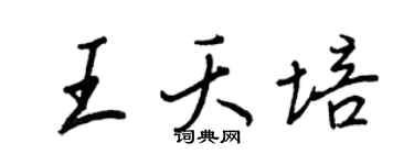 王正良王夭培行书个性签名怎么写