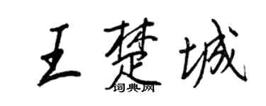 王正良王楚城行书个性签名怎么写