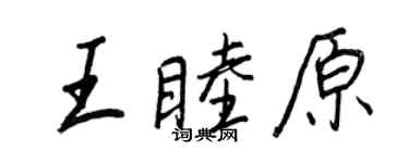 王正良王睦原行书个性签名怎么写