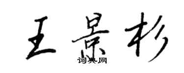 王正良王景杉行书个性签名怎么写