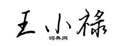 王正良王小禄行书个性签名怎么写