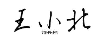 王正良王小北行书个性签名怎么写