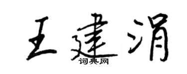 王正良王建涓行书个性签名怎么写