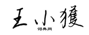 王正良王小获行书个性签名怎么写