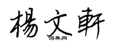 王正良杨文轩行书个性签名怎么写