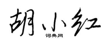 王正良胡小红行书个性签名怎么写