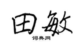 王正良田敏行书个性签名怎么写