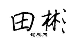 王正良田彬行书个性签名怎么写