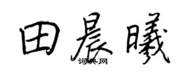 王正良田晨曦行书个性签名怎么写