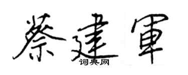 王正良蔡建军行书个性签名怎么写