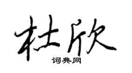 王正良杜欣行书个性签名怎么写