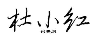 王正良杜小红行书个性签名怎么写