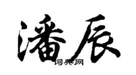 胡问遂潘辰行书个性签名怎么写