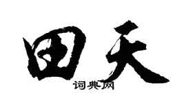 胡问遂田天行书个性签名怎么写