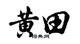 胡问遂黄田行书个性签名怎么写