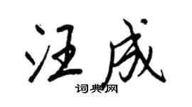 王正良汪成行书个性签名怎么写