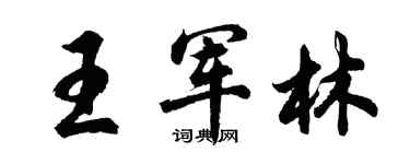 胡问遂王军林行书个性签名怎么写