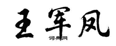 胡问遂王军凤行书个性签名怎么写