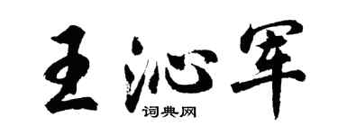 胡问遂王沁军行书个性签名怎么写