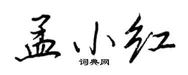 王正良孟小红行书个性签名怎么写