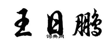 胡问遂王日鹏行书个性签名怎么写