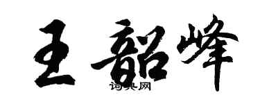 胡问遂王韶峰行书个性签名怎么写