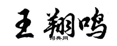 胡问遂王翔鸣行书个性签名怎么写