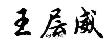 胡问遂王层威行书个性签名怎么写