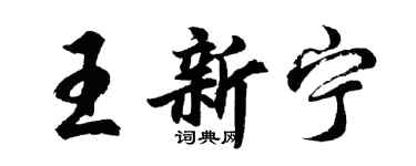 胡问遂王新宁行书个性签名怎么写