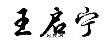 胡问遂王启宁行书个性签名怎么写