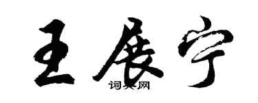 胡问遂王展宁行书个性签名怎么写