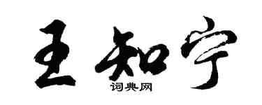 胡问遂王知宁行书个性签名怎么写